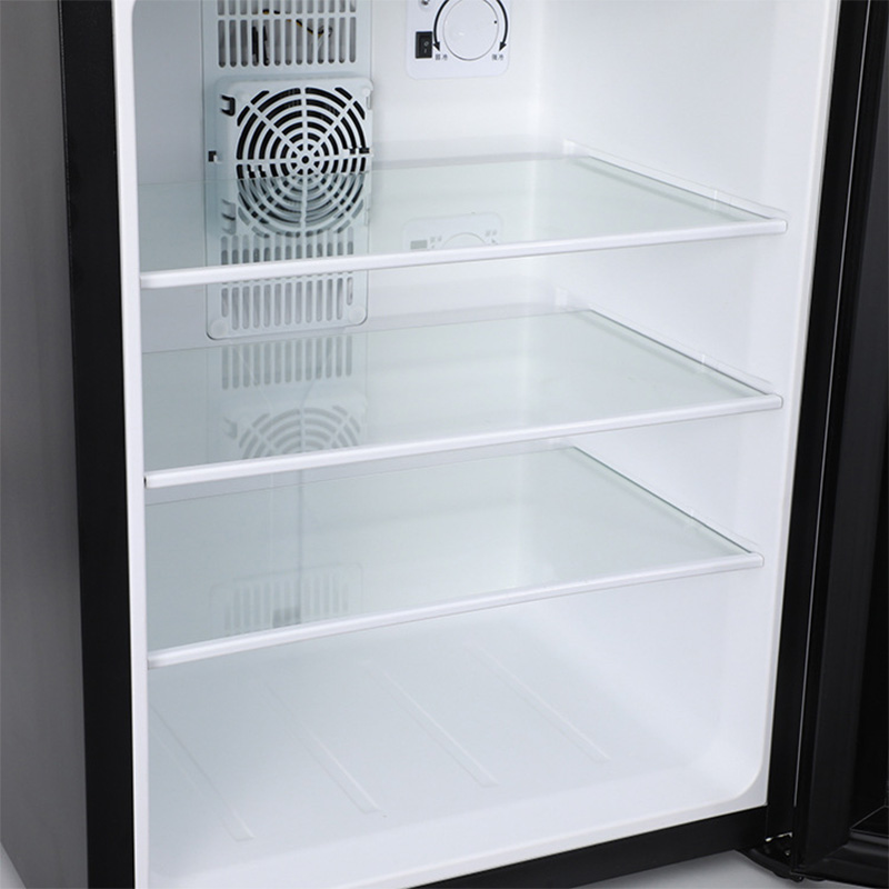Mini Fridge Cooler 40L Refrige - Wine Beer Mini Fridge 评论和价格