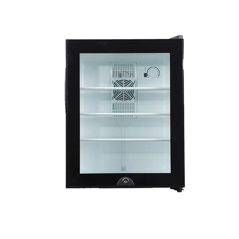 Mini Fridge Cooler 40L Refrige - Wine Beer Mini Fridge 评论和价格