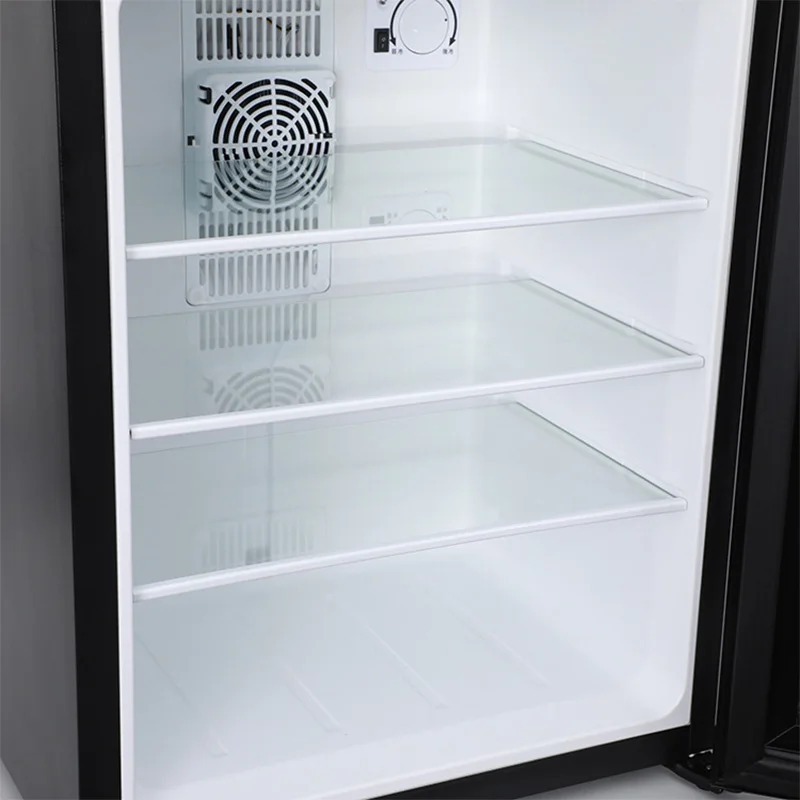 Mini Fridge Cooler 40L Refrige - Wine Beer Mini Fridge 评论和价格